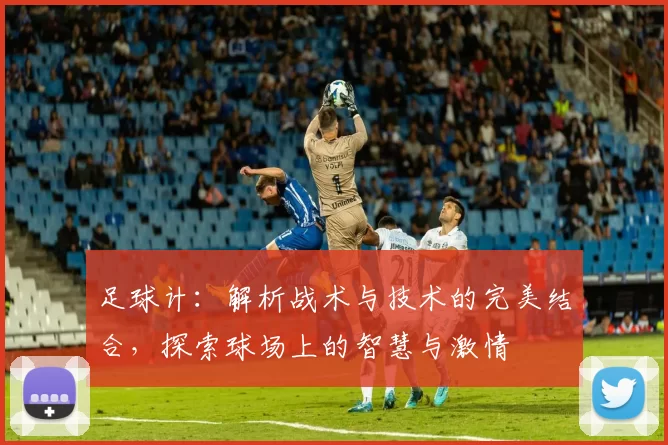 足球计：解析战术与技术的完美结合，探索球场上的智慧与激情