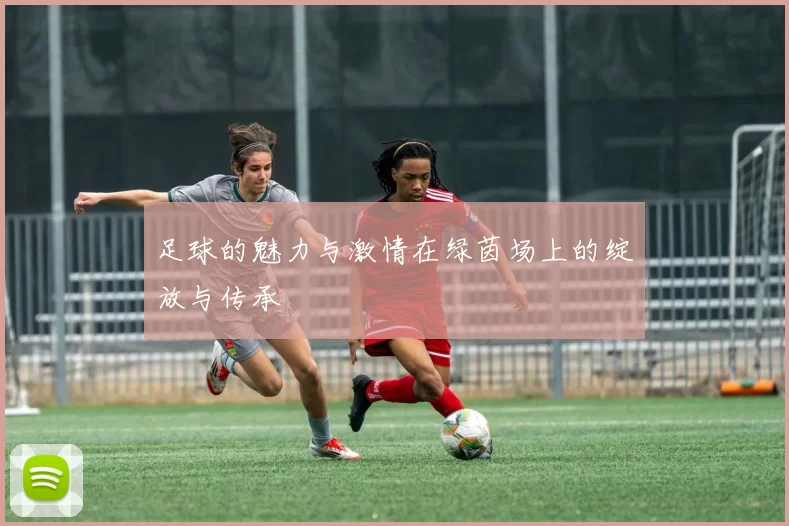足球的魅力与激情在绿茵场上的绽放与传承